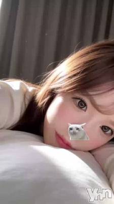 1189.�����ǥ����졼����