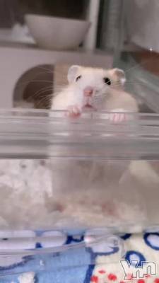 86.�ˤˤϥ�����˿����1�����ߤ��������Τ狼��ʤ��롼�뤬����