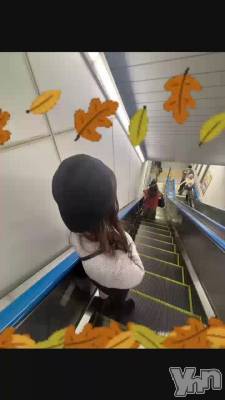 323.���������Ӥ᤿��̿���