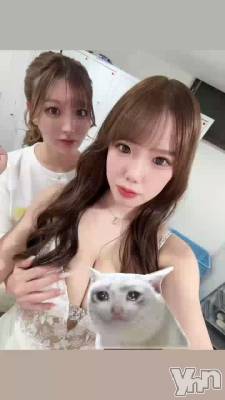 742.���塼�˥�