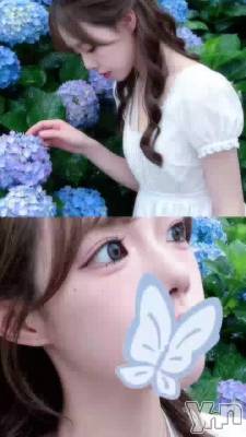 1079.�ϥ른����