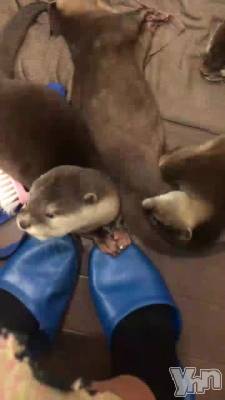 141.���⤷��ʤ���ž�ǹԤ�