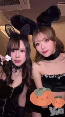 335.����Х�����