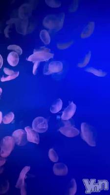 669.�ޤ��ޤ��ᤷ�ߤ��ä���