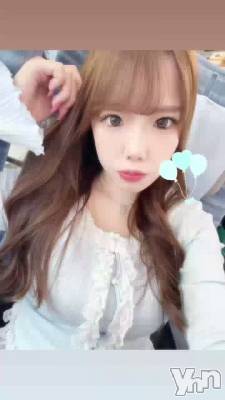 800.���ѡ�����