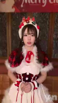 529.��Ͽ��� ����������