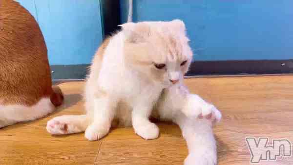 ��101.��������Ϣ³���Ƶ�����ʤ������˰�������Ϣ³���Ƶ����������