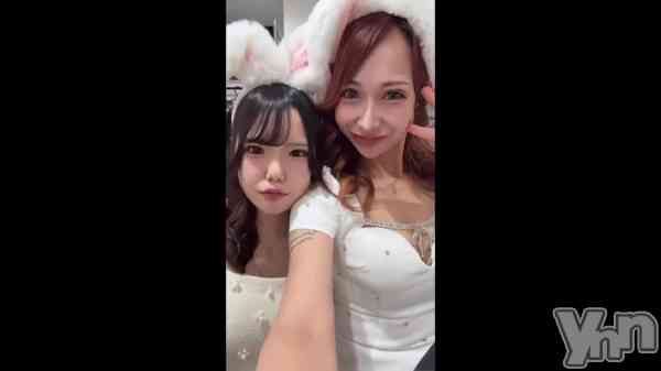 �³��������Ϻ��221.�������ϱﵯ��������