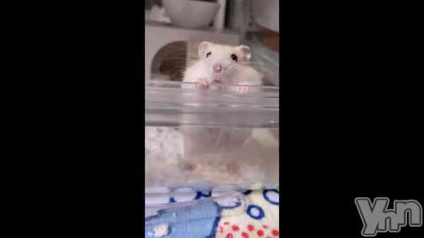 ��86.�ˤˤϥ�����˿����1�����ߤ��������Τ狼��ʤ��롼�뤬�����