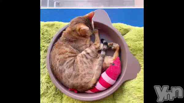 ��126.̵��������Τ�õ�����Ϥ������ι�ư���̤��