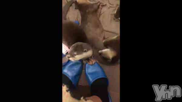 ��141.���⤷��ʤ���ž�ǹԤ���