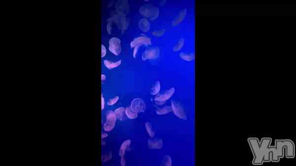 ��669.�ޤ��ޤ��ᤷ�ߤ��ä�����