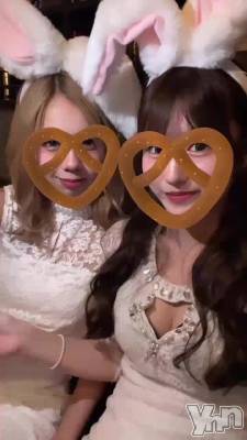 ������(՞ ܸ. .ܸ՞)🤍