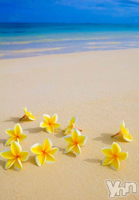 甲府デリヘル甲府人妻城(コウフヒトヅマジョウ) あんな(35)の2月20日写メブログ「初めて🔰」