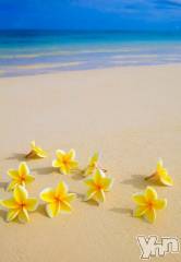 甲府デリヘル甲府人妻城(コウフヒトヅマジョウ) あんな(35)の2月20日写メブログ「初めて🔰」