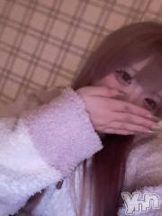 甲府ソープオレンジハウス ゆい(20)の2月8日写メブログ「次の出勤‪‪❤︎‬」