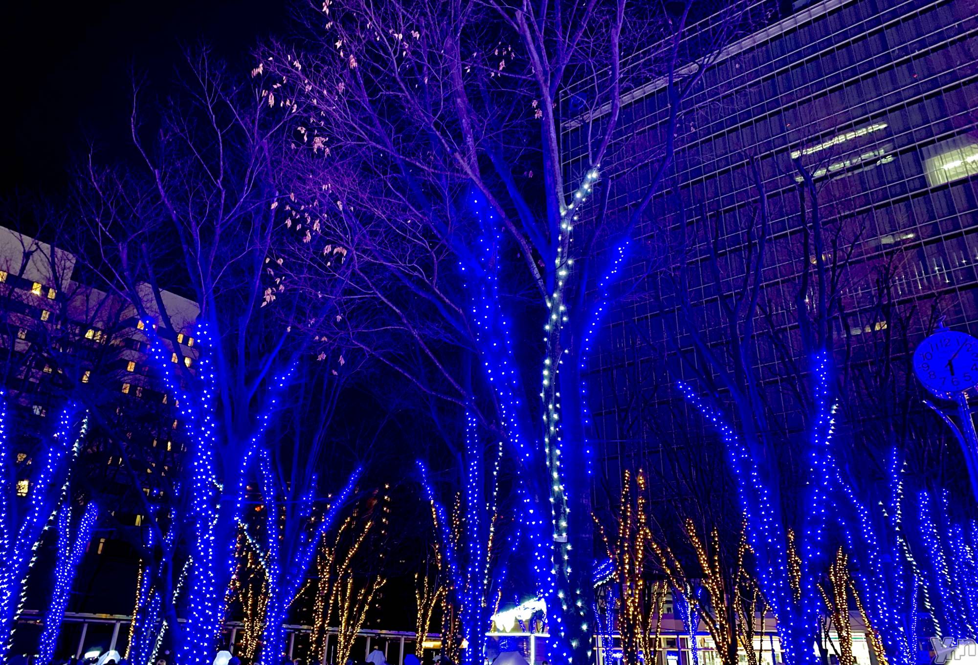 �ٻε��ĥ���Х��顦�����Club ALICE(����֥��ꥹ) ��2026ǯ1��9���̥�֥����֤����✨��