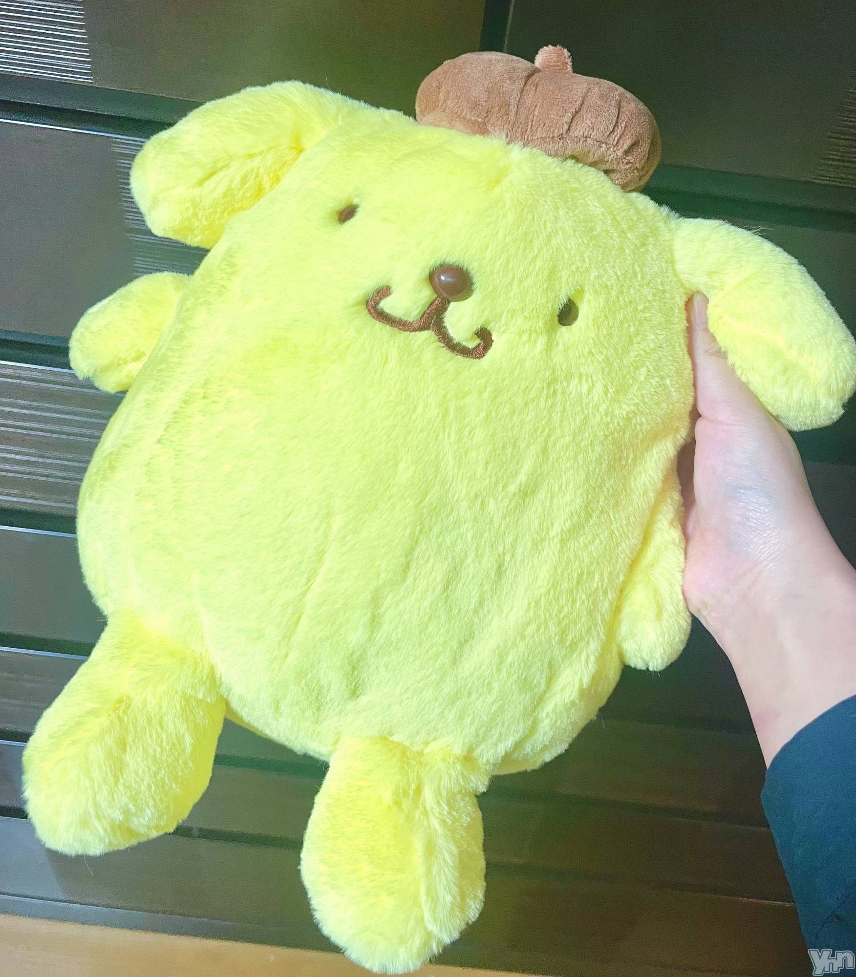 �ٻε��ĥ���Х��顦�����Club ALICE(����֥��ꥹ) ��2026ǯ4��22���̥�֥����֤פ��🍮��