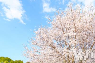 �ٻε��ĥ���Х��顦�����Club ALICE(����֥��ꥹ) �ߤʤ��4��8���̥�֥����֤�����🌸��