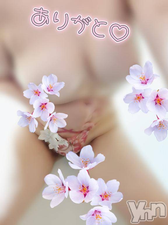 甲府デリヘル甲府人妻城(コウフヒトヅマジョウ)みき(41)の2026年3月17日写メブログ「💗昨日のOさま💗」