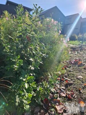 甲府デリヘル 甲府人妻城(コウフヒトヅマジョウ) みき(41)の11月2日写メブログ「おはよ💗(o^－^o)」