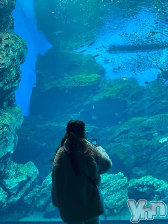 甲府ソープオレンジハウス れいか(21)の2月20日写メブログ「お知らせ⋆͛📢⋆」