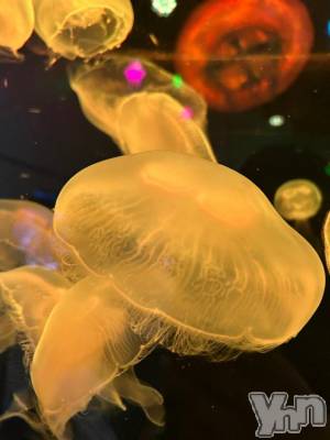 甲府デリヘル 甲府人妻城(コウフヒトヅマジョウ) ももえ(28)の11月13日写メブログ「おはよーございます☀」