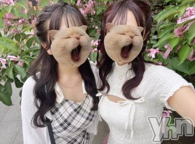 甲府ソープ オレンジハウス みに(21)の10月27日写メブログ「🐶☀️💘」