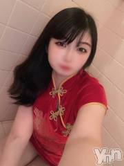 石和ソープ石和クリスタル(イサワクリスタル) あいか(25)の11月1日写メブログ「月初めに🐱」