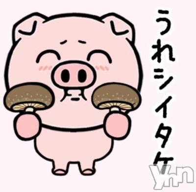 甲府ソープ オレンジハウス そう(24)の4月8日写メブログ「嬉しいです💓‪」