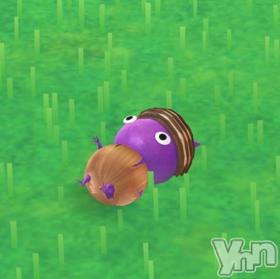 甲府ソープオレンジハウス しゅうか(27)の9月10日写メブログ「パネル変わりました🙋‍♀️」