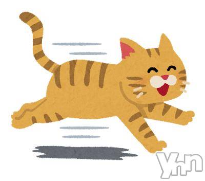 甲府ソープ オレンジハウス しゅうか(27)の8月15日写メブログ「今すぐなら❗️」