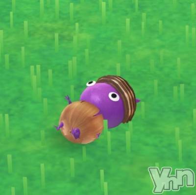 甲府ソープ オレンジハウス しゅうか(27)の9月10日写メブログ「パネル変わりました🙋‍♀️」