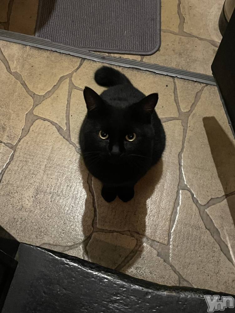 ���ܥ���Х��顦�����BRILLAR(�֥ꥸ�㡼��) �շ��10��28���̥�֥����֤ͤ�🖤��