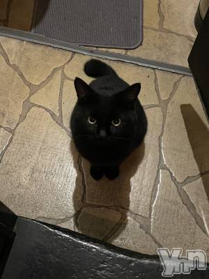 ���ܥ���Х��顦�����BRILLAR(�֥ꥸ�㡼��) �շ�(23)��10��28���̥�֥����֤ͤ�🖤��