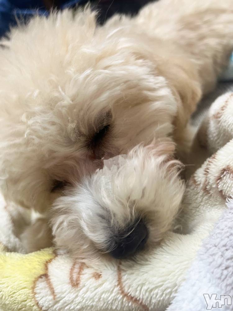 ���ܥ���Х��顦�����BRILLAR(�֥ꥸ�㡼��) ���ޤ�12��3���̥�֥�����my name is 🙂��