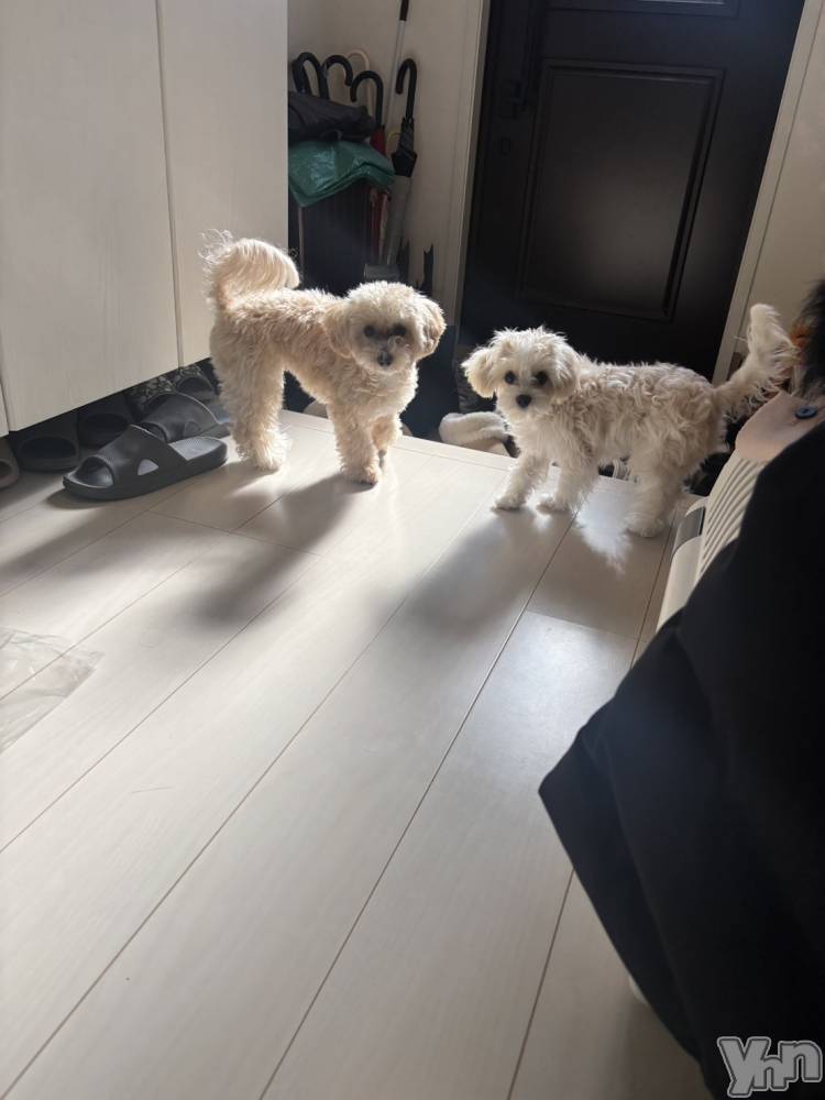 ���ܥ���Х��顦�����BRILLAR(�֥ꥸ�㡼��) ���ޤ�3��25���̥�֥����֎����ǡ�