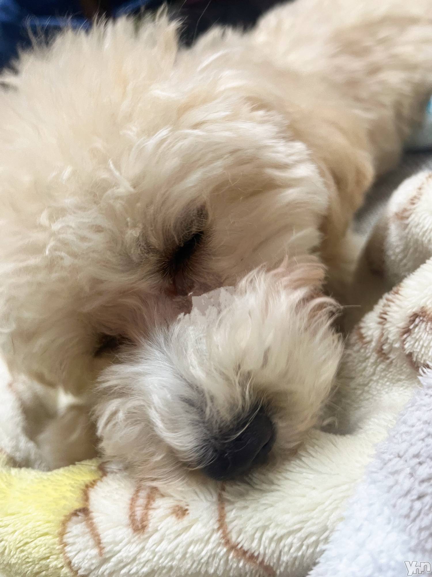 ���ܥ���Х��顦�����BRILLAR(�֥ꥸ�㡼��) ��2025ǯ12��3���̥�֥�����my name is 🙂��