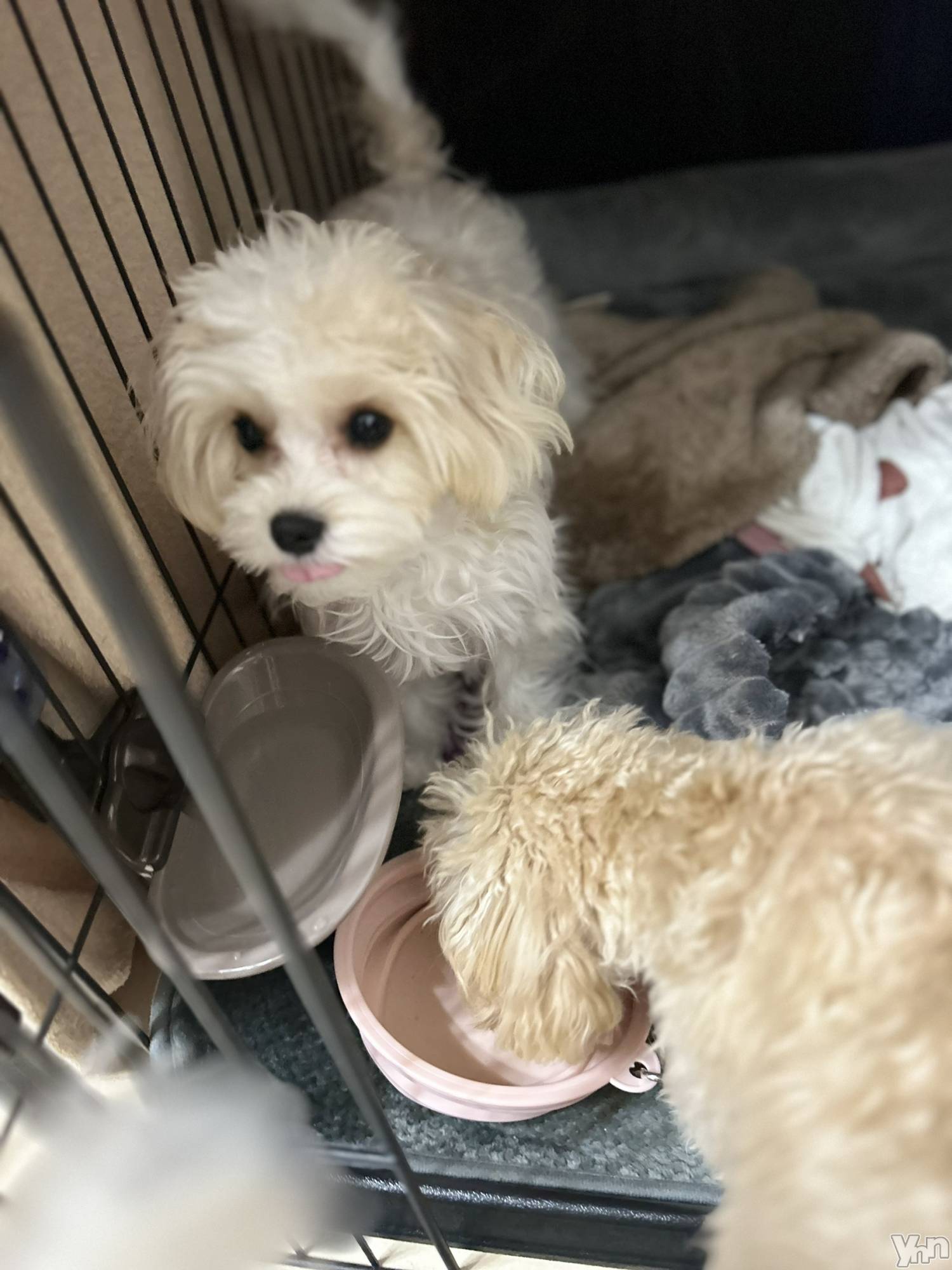 ���ܥ���Х��顦�����BRILLAR(�֥ꥸ�㡼��) ��2026ǯ3��10���̥�֥����֤��襤💌��