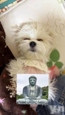 ���ܥ���Х��顦�����BRILLAR(�֥ꥸ�㡼��) ����(20)��3��3���̥�֥�������ʩ���Ȼפ���