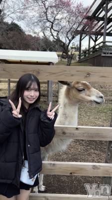 ���ܥ���Х��顦�����BRILLAR(�֥ꥸ�㡼��) ����(20)��3��28���̥�֥�����🦙���