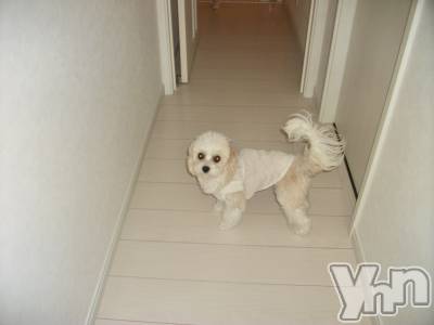 ���ܥ���Х��顦�����BRILLAR(�֥ꥸ�㡼��) ����(20)��6��7���̥�֥�����🌹💋���⤤part1��