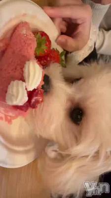 ������ʬ��������♡