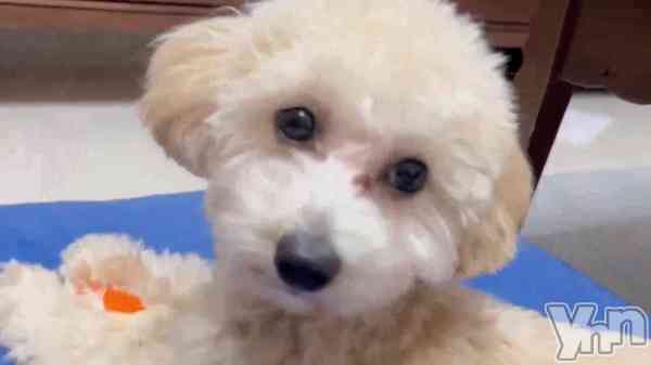 ����ϫ�θ³���