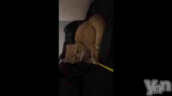 �֤ߤ�Ӥ�🐱��