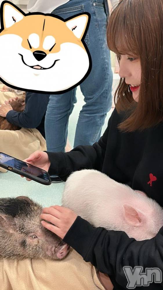 甲府ソープオレンジハウス ありさ(24)の3月26日写メブログ「🎀しゅーきん🎀」