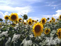 甲府デリヘル甲府人妻隊(コウフヒトヅマタイ) まり(40)の11月5日写メブログ「おしらせです」