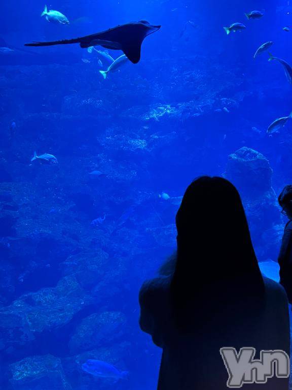 甲府ソープオレンジハウス みんと(19)の12月30日写メブログ「だべれたぁ！」