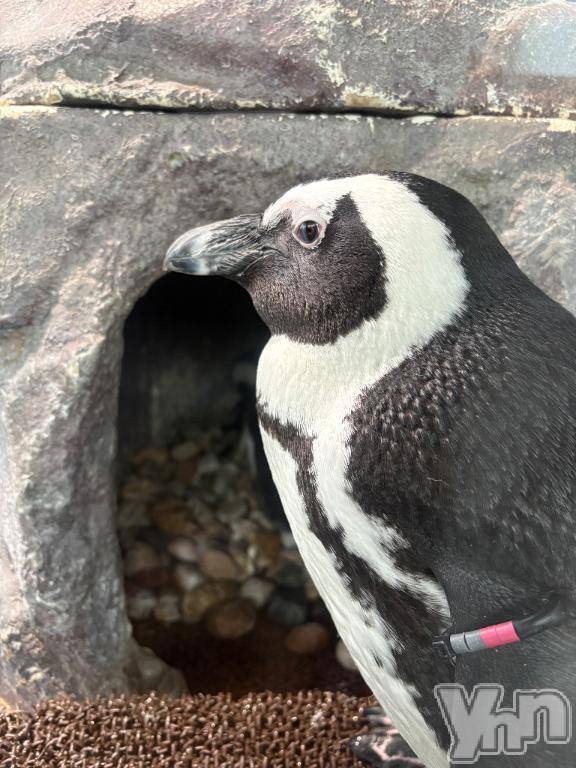 甲府ソープオレンジハウスみんと(19)の2026年1月3日写メブログ「ありがとう😊」