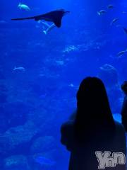 甲府ソープオレンジハウス みんと(19)の12月30日写メブログ「だべれたぁ！」